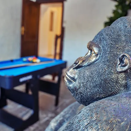 Du Volcan Vakantiehuis *