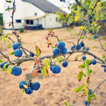 Vakantiehuis Du Volcan